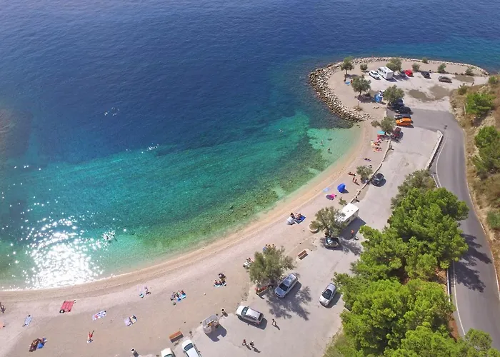 Angelina スプリト